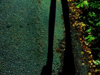 /album/www-pix-fx-de/der-ewige-kreis-jpg/